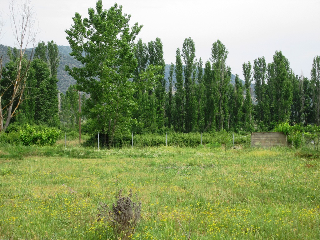 Продажа - Земельный участок 2200 m² на Ситонии (Халкидики)