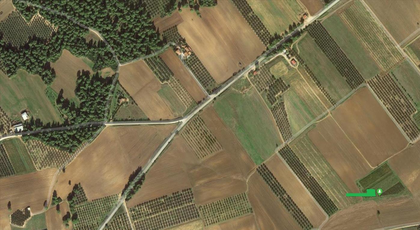 Продажа - Земельный участок 9880 m² на Кассандре (Халкидики)