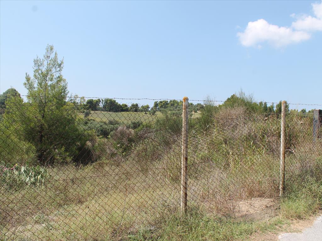 Продажа - Земельный участок 4025 m² на Кассандре (Халкидики)