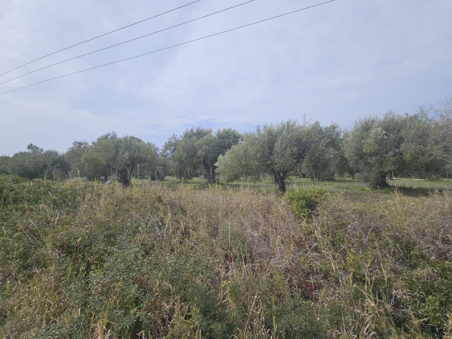 Продажа - Земельный участок 5100 m² на Кассандре (Халкидики)