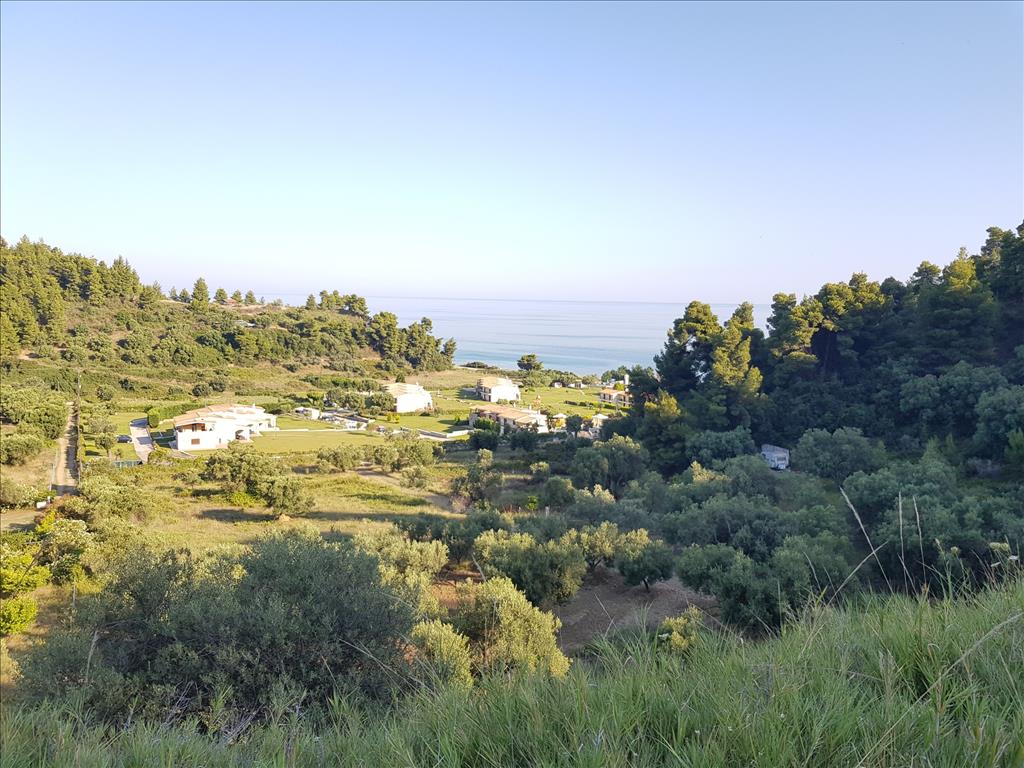 Продажа - Земельный участок 4300 m² на Кассандре (Халкидики)