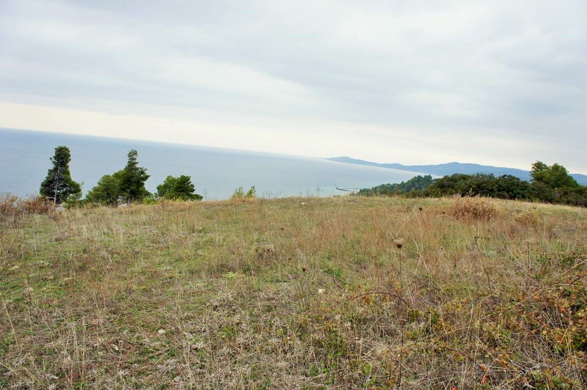 Продажа - Земельный участок 55000 m² на Кассандре (Халкидики)
