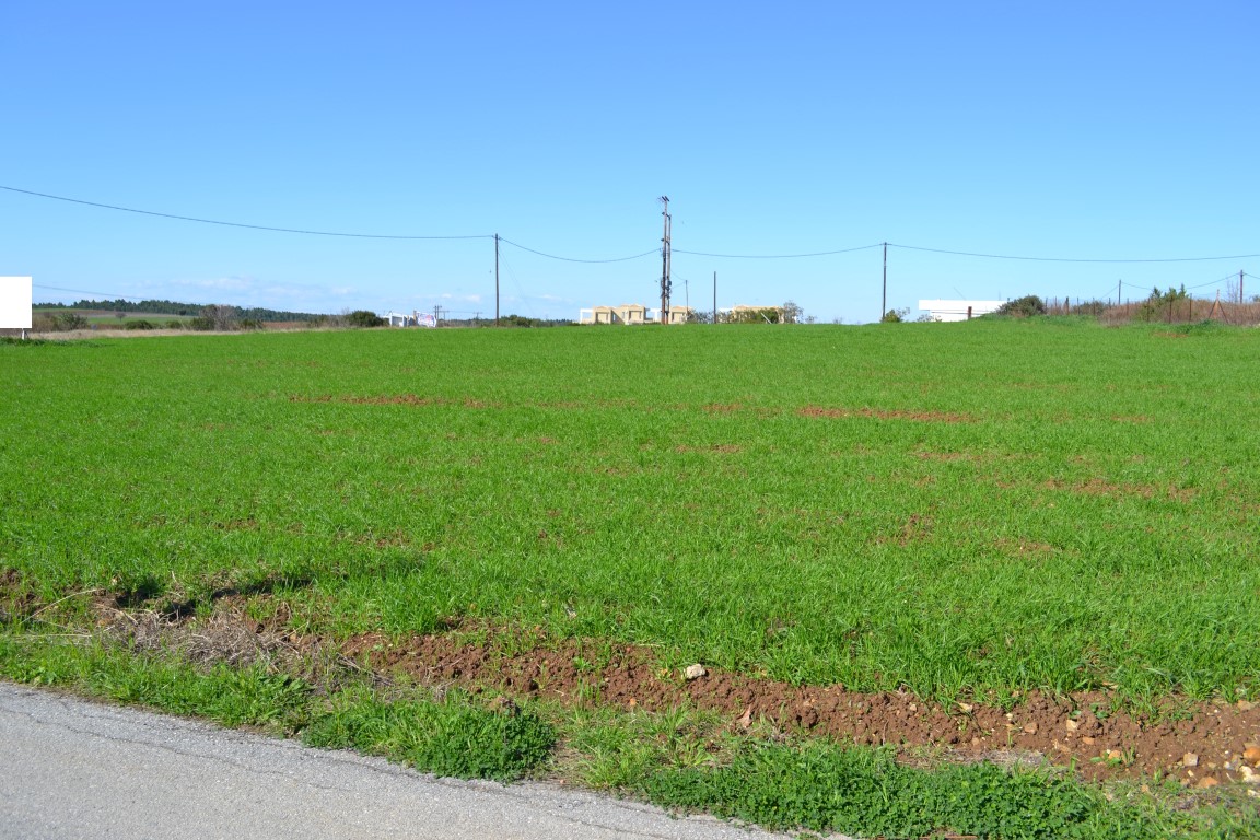 Продажа - Земельный участок 6700 m² на Кассандре (Халкидики)