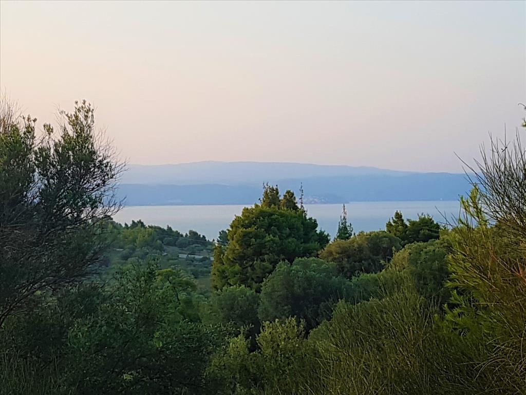 Продажа - Земельный участок 3350 m² на Ситонии (Халкидики)