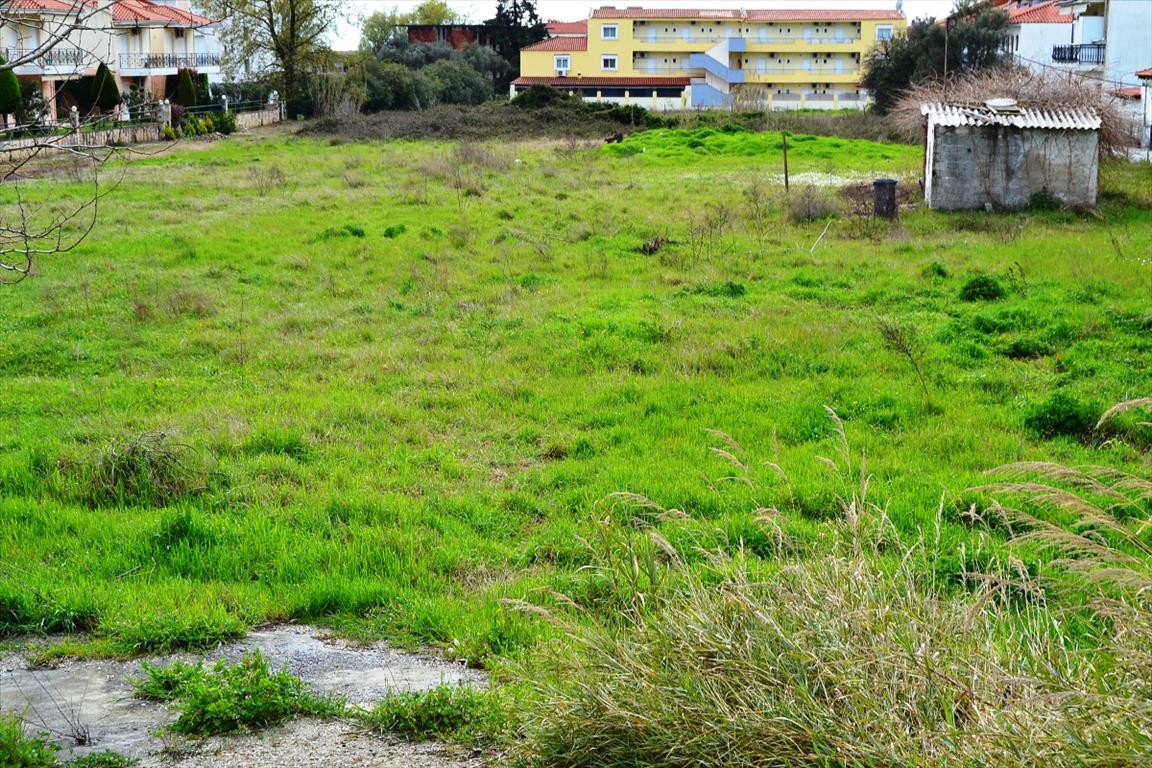 Продажа - Земельный участок 5300 m² на Кассандре (Халкидики)