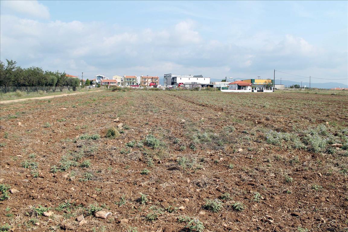 Продажа - Земельный участок 1800 m² на Ситонии (Халкидики)
