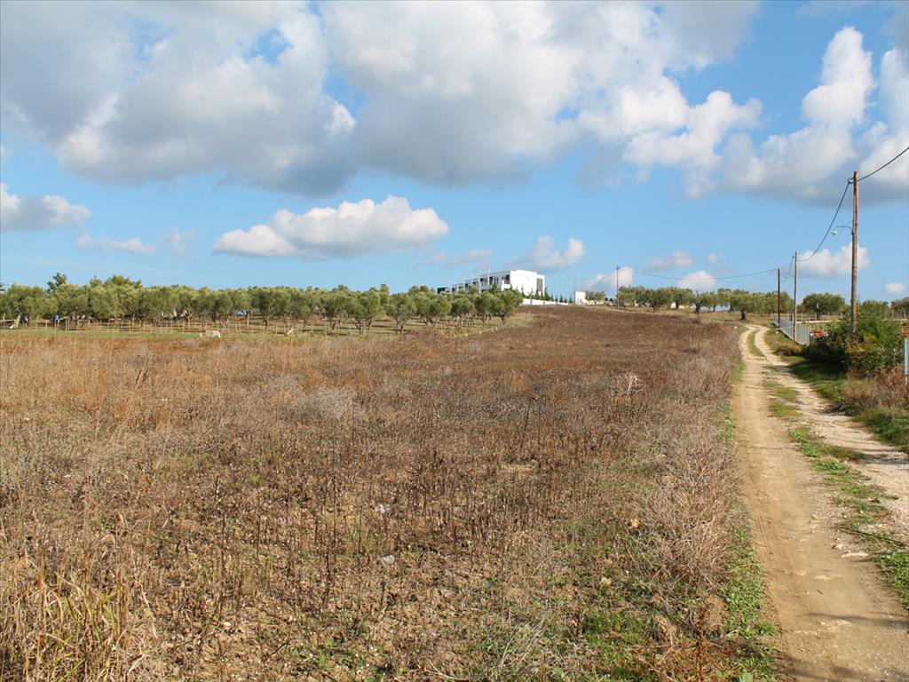 Продажа - Земельный участок 4000 m² на Кассандре (Халкидики)