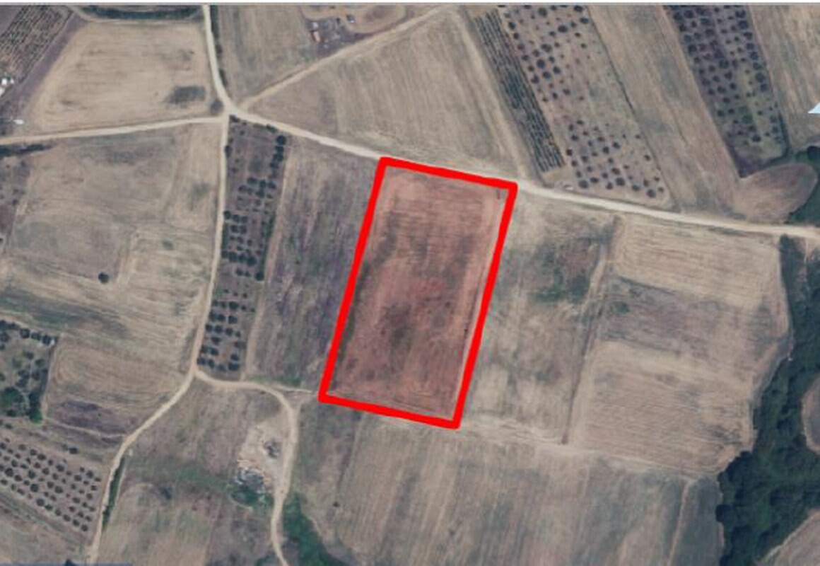 Продажа - Земельный участок 11800 m² на Афоне (Халкидики)