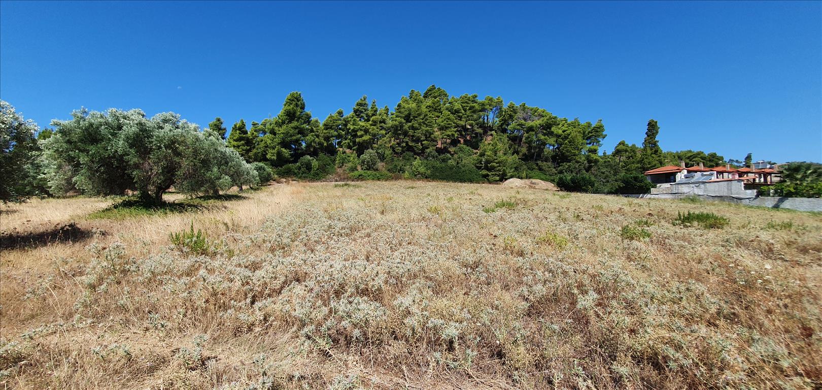 Продажа - Земельный участок 5500 m² на Кассандре (Халкидики)