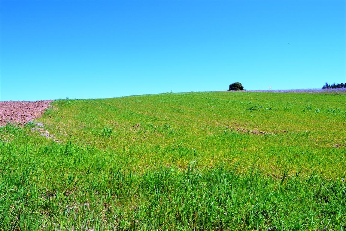 Продажа - Земельный участок 4125 m² на Кассандре (Халкидики)