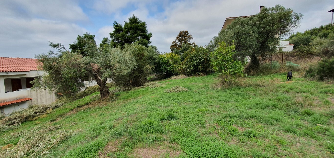 Продажа - Земельный участок 1424 m² на Кассандре (Халкидики)