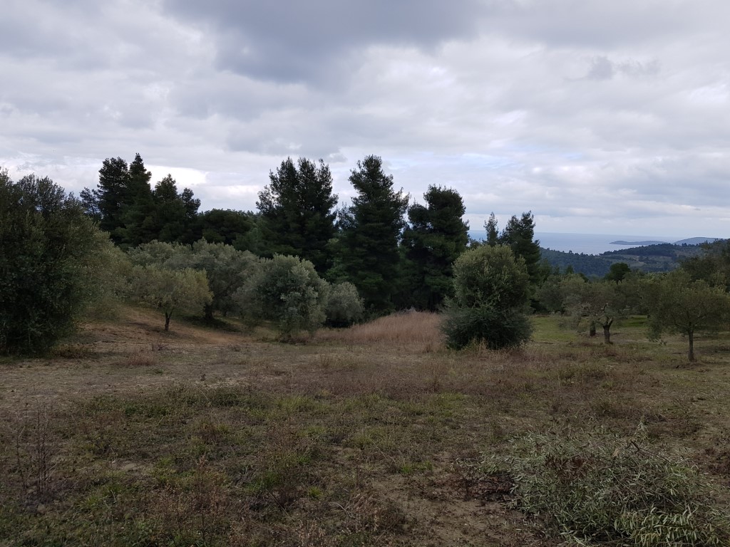 Продажа - Земельный участок 4143 m² на Кассандре (Халкидики)