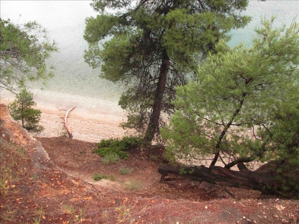 Продажа - Земельный участок 54096 m² на Ситонии (Халкидики)