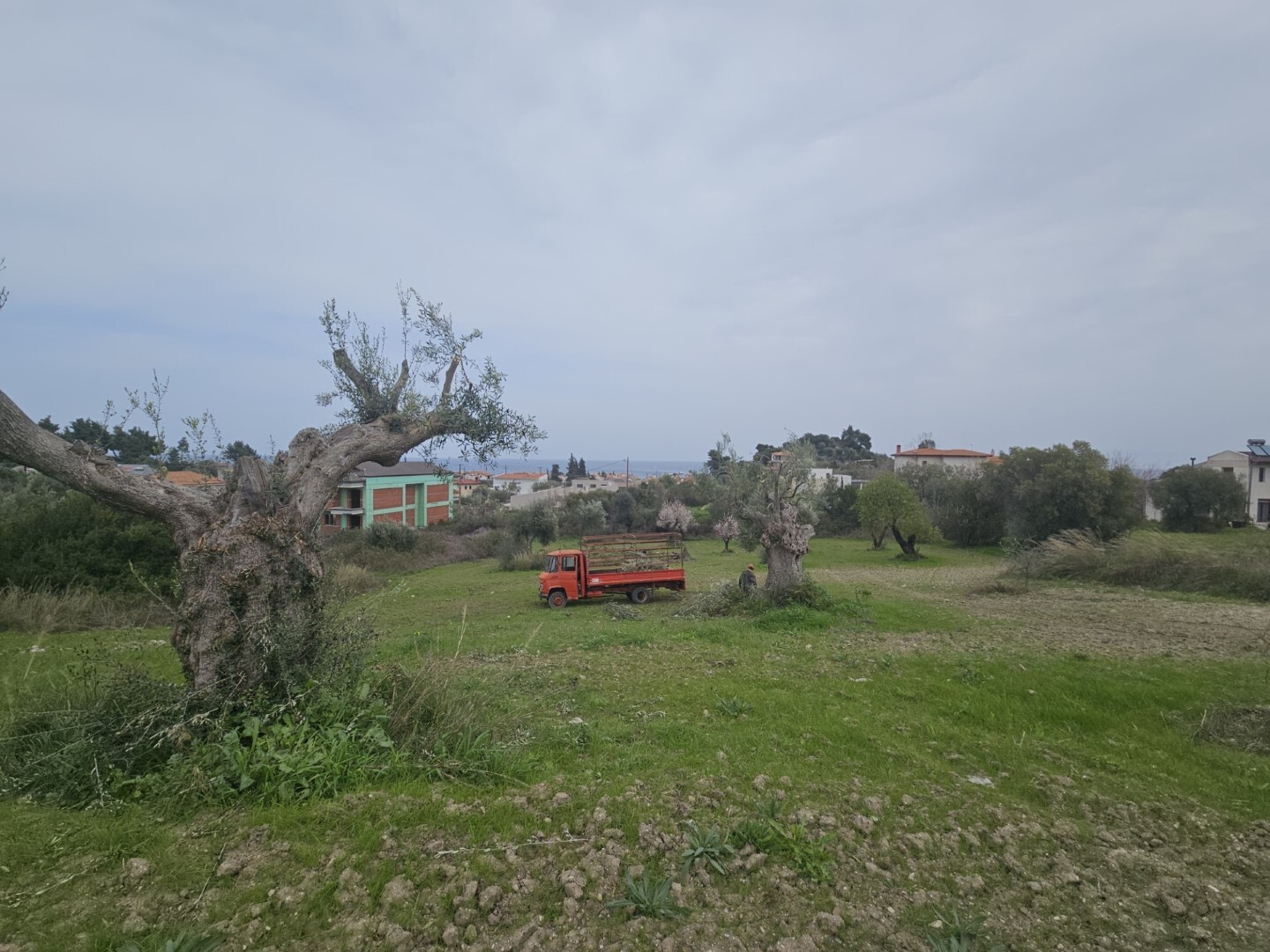 Продажа - Земельный участок 1666 m² на Кассандре (Халкидики)