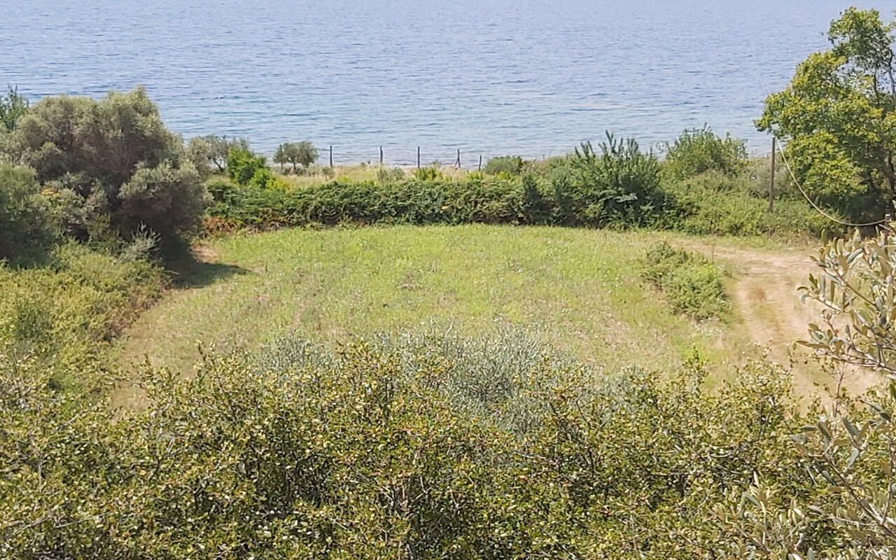 Продажа - Земельный участок 1600 m² на Афоне (Халкидики)