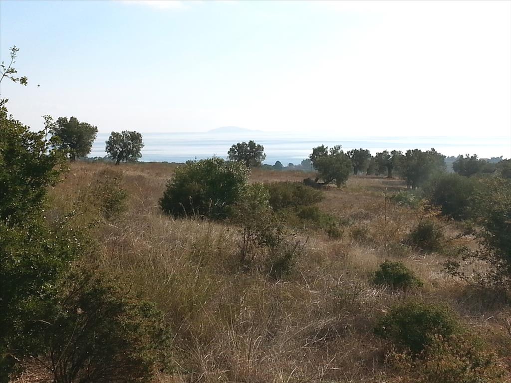 Продажа - Земельный участок 13828 m² на Ситонии (Халкидики)