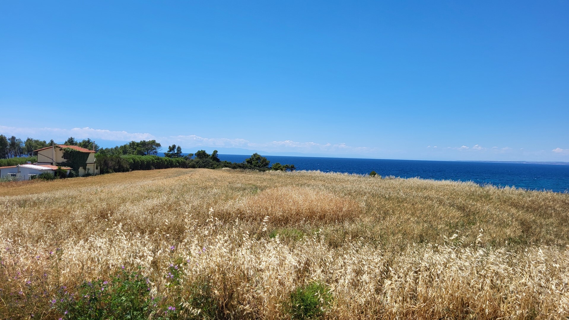Продажа - Земельный участок 5750 m² на Кассандре (Халкидики)