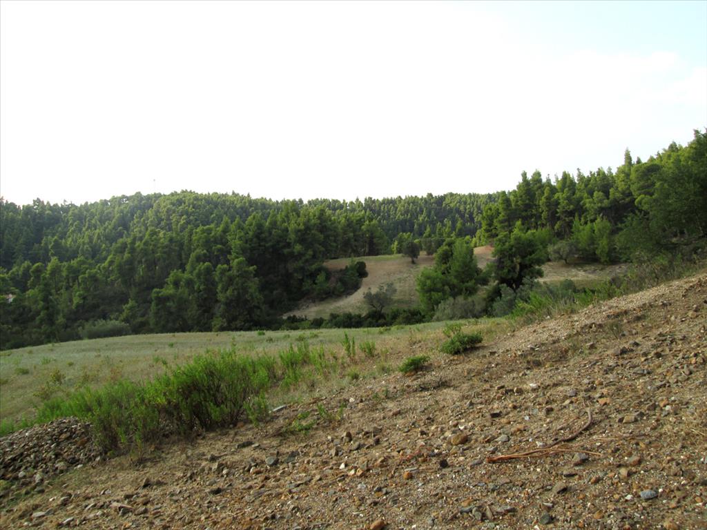 Продажа - Земельный участок 30000 m² на Кассандре (Халкидики)