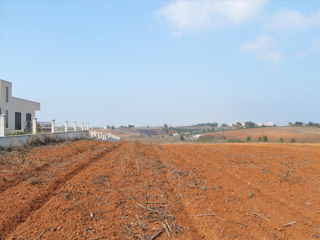 Продажа - Земельный участок 15217 m² на Кассандре (Халкидики)