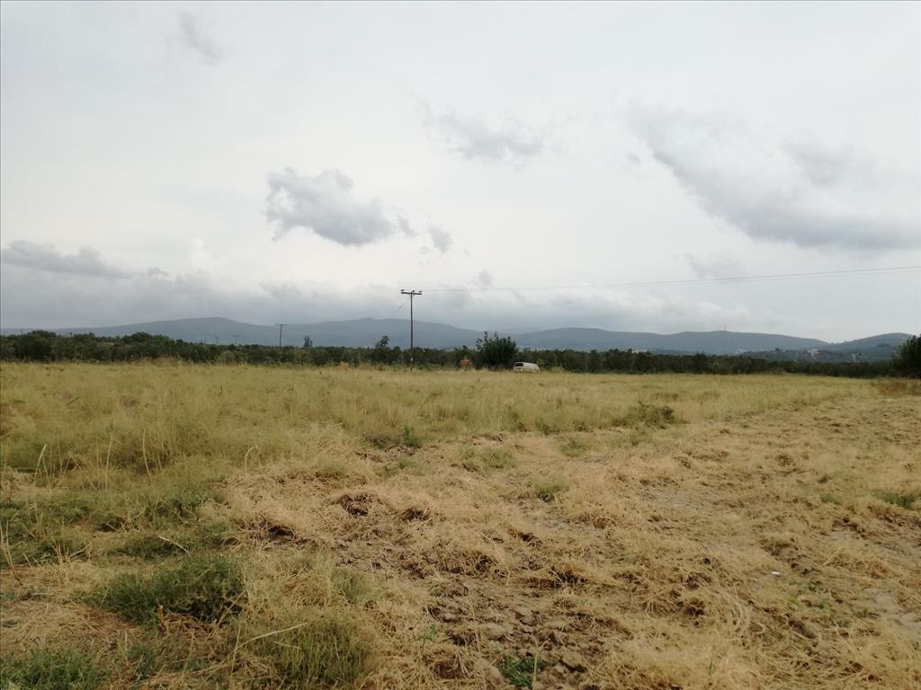 Продажа - Земельный участок 7300 m² на Ситонии (Халкидики)