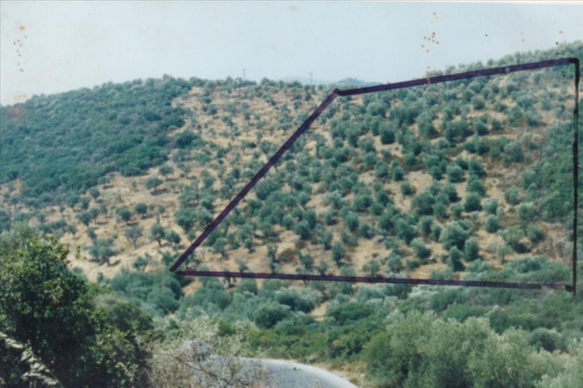 Продажа - Земельный участок 19160 m² на Афоне (Халкидики)