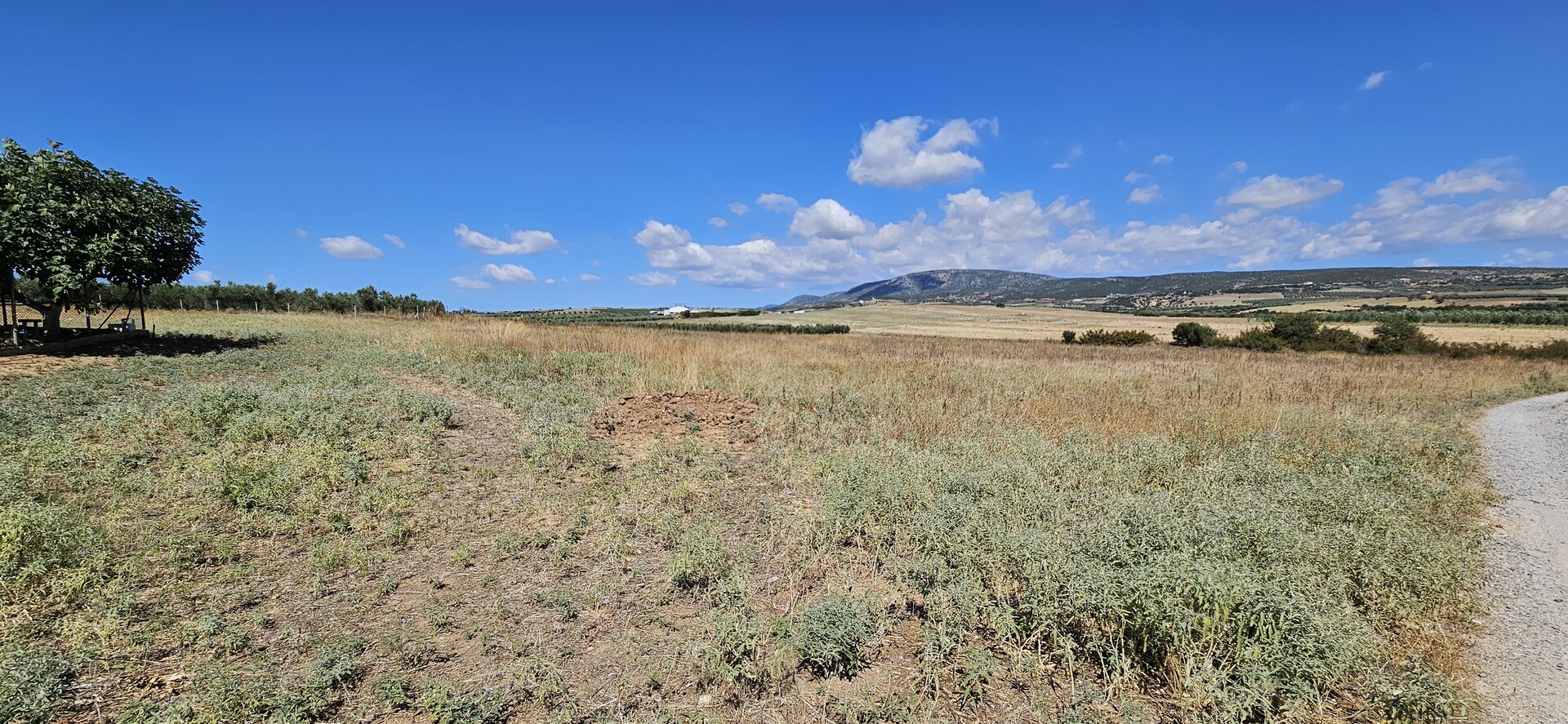 Продажа - Земельный участок 8400 m² в Халкидиках