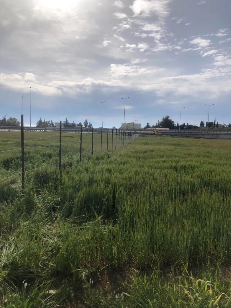 Продажа - Земельный участок 3221 m² в Халкидиках