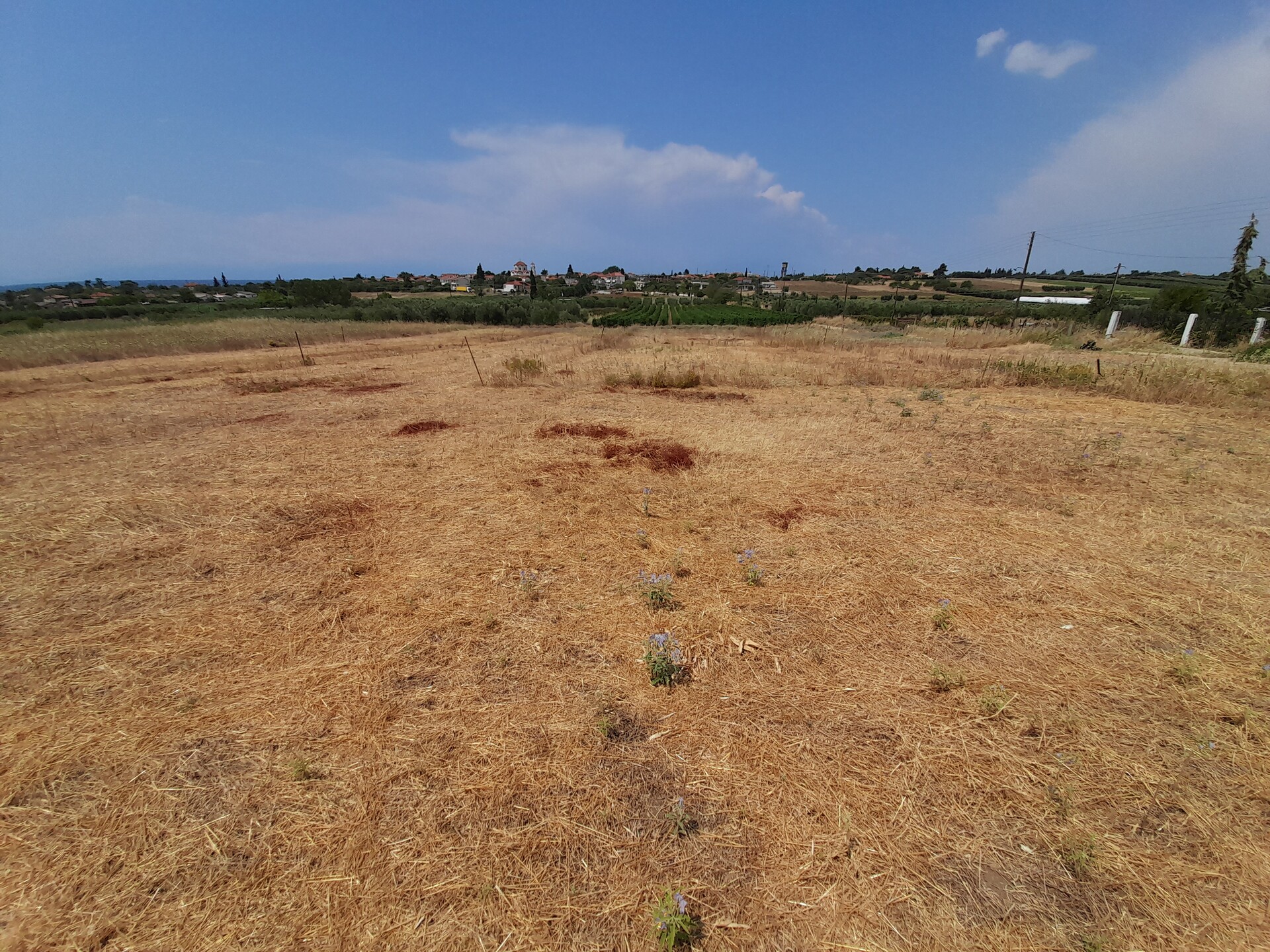 Продажа - Земельный участок 348 m² в Халкидиках