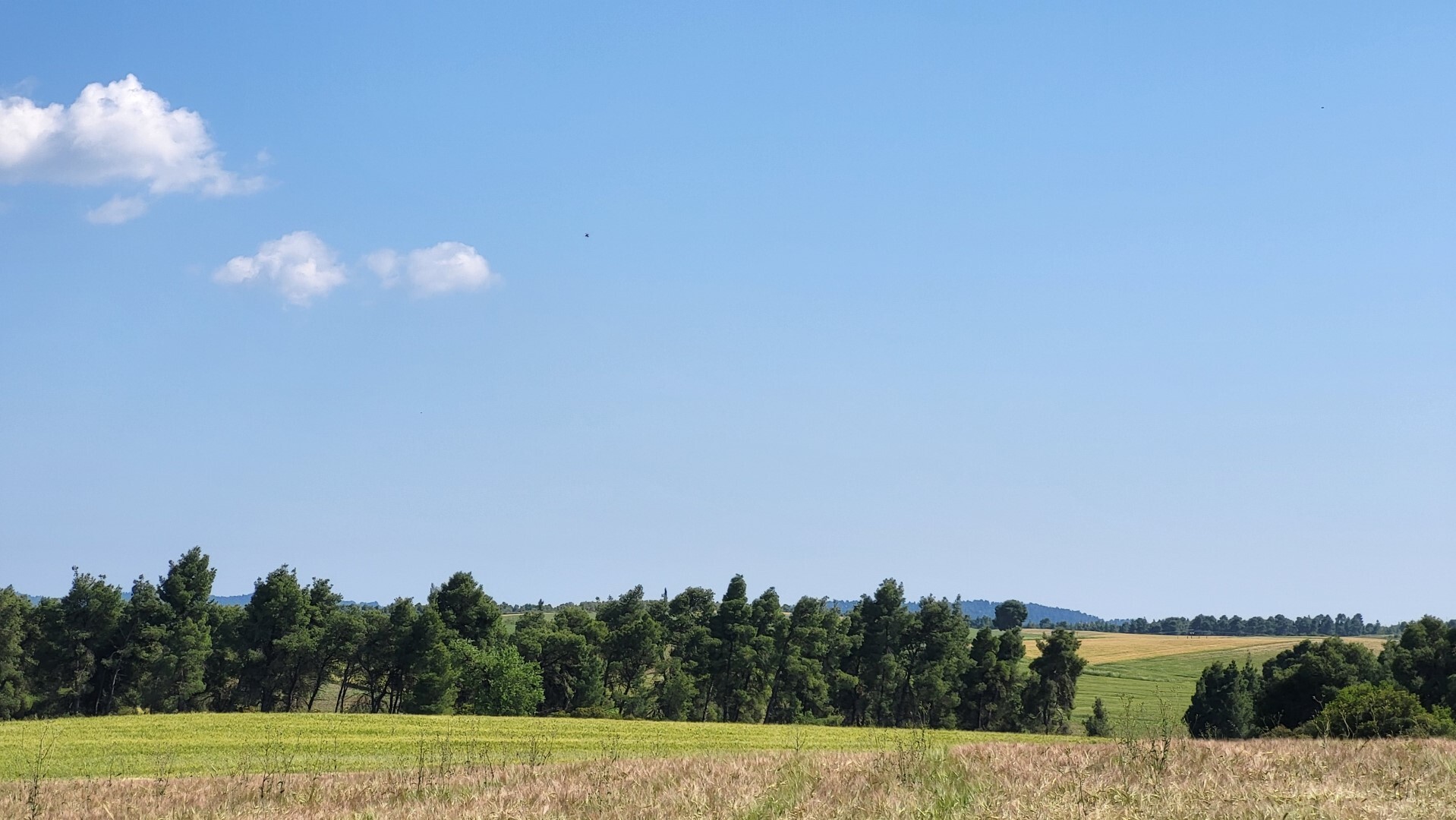 Продажа - Земельный участок 1500 m² на Кассандре (Халкидики)