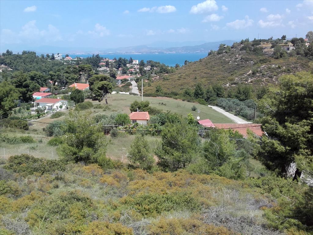 Продажа - Коттедж 162 m² в Аттике