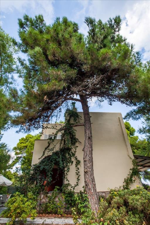 Продажа - Коттедж 300 m² в Аттике