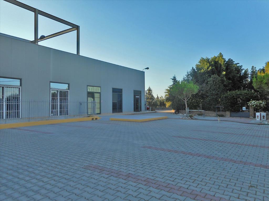 Продажа - Коттедж 1400 m² в Аттике