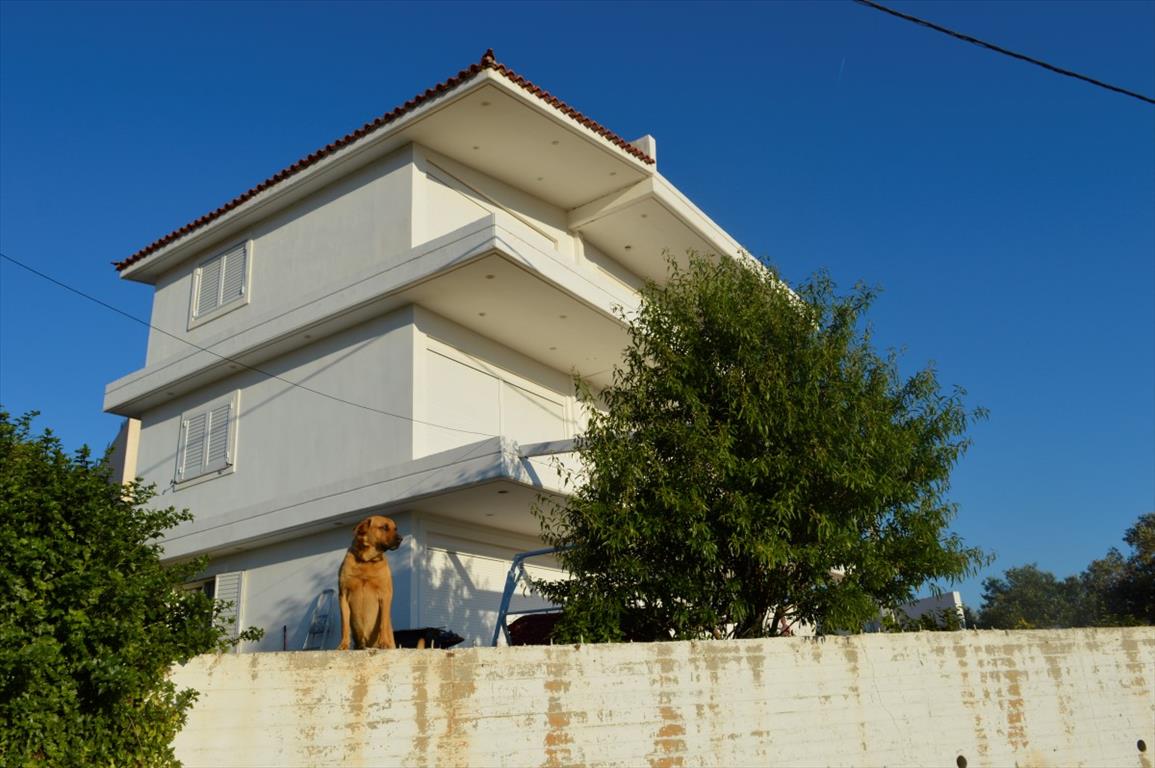 Продажа - Коттедж 300 m² в Аттике