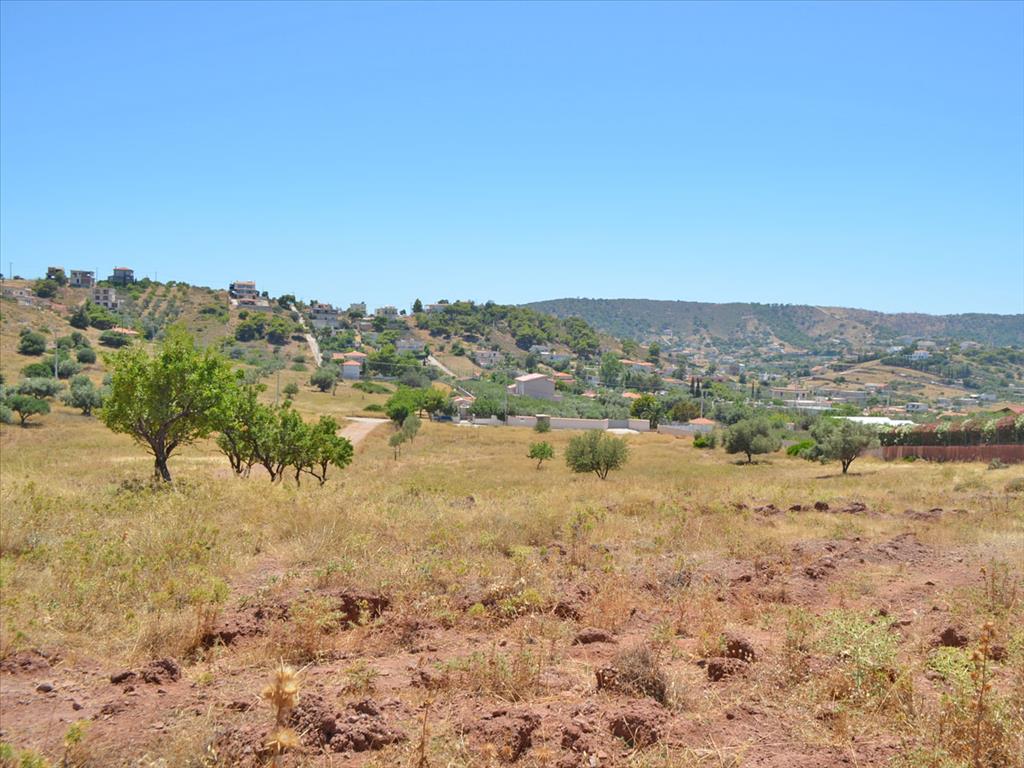 Продажа - Земельный участок 13500 m² в Аттике