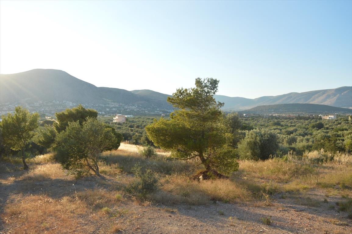 Продажа - Земельный участок 12600 m² в Аттике