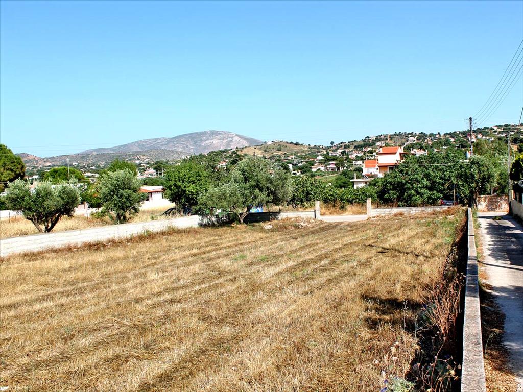 Продажа - Земельный участок 1385 m² в Аттике