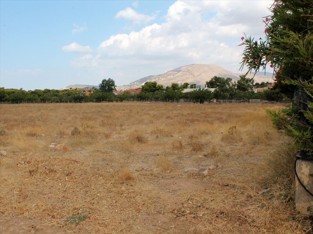 Продажа - Земельный участок 7900 m² в Аттике