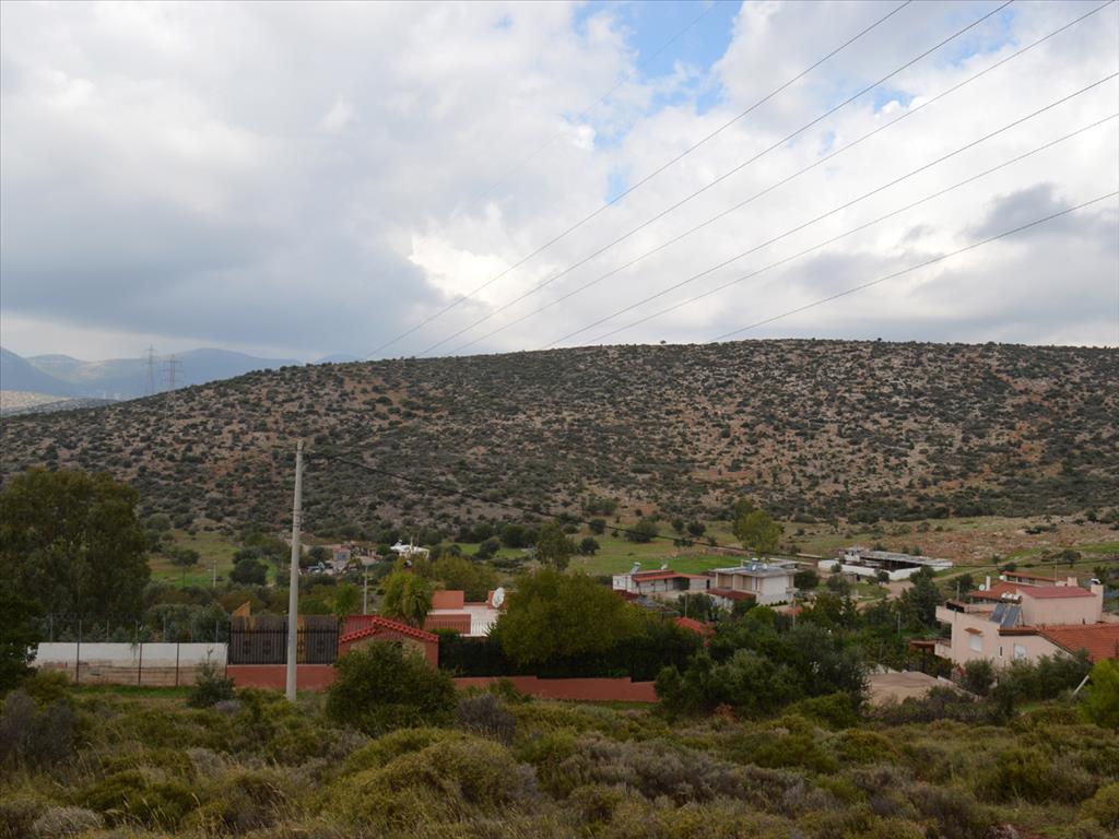 Продажа - Земельный участок 950 m² в Аттике