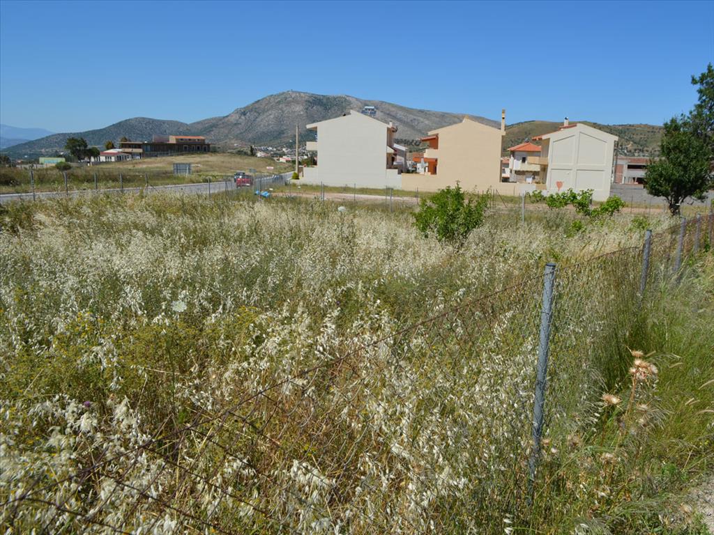 Продажа - Земельный участок 345 m² в Аттике