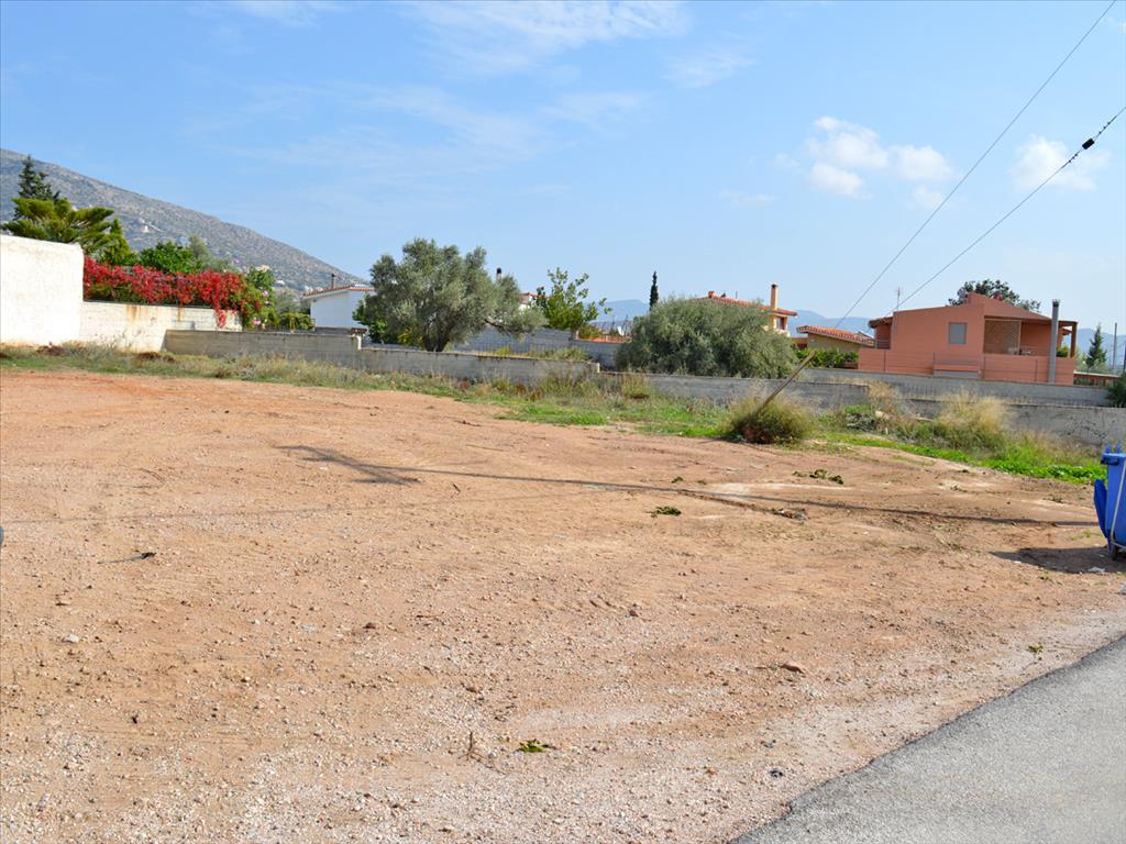 Продажа - Земельный участок 950 m² в Аттике