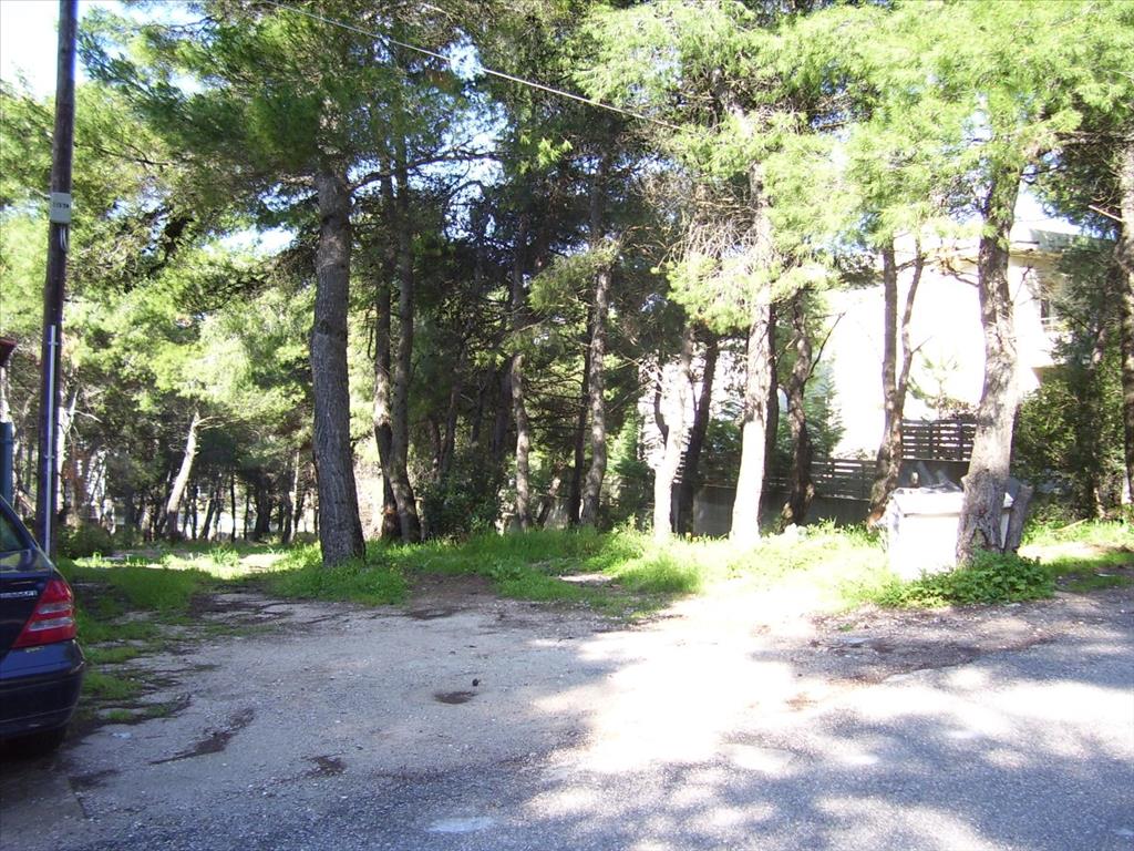 Продажа - Земельный участок 815 m² в Аттике