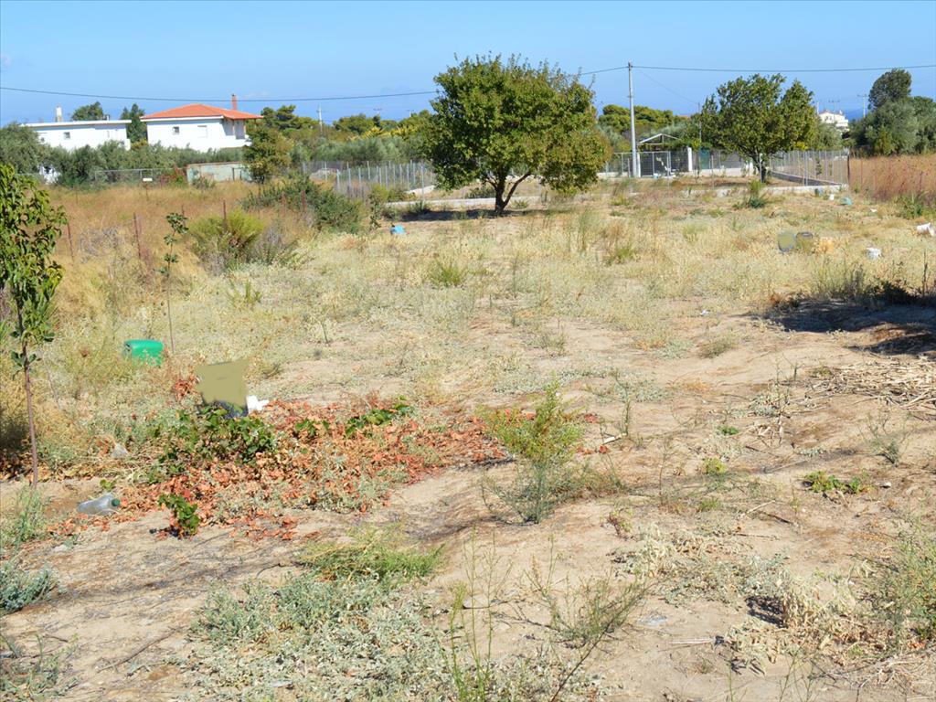 Продажа - Земельный участок 930 m² в Аттике