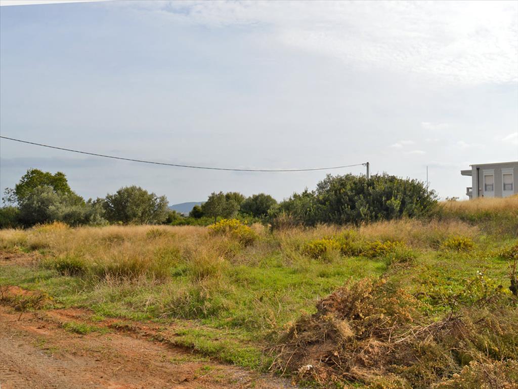 Продажа - Земельный участок 1750 m² в Аттике