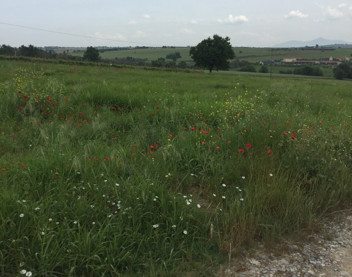 Продажа - Земельный участок 10600 m² в пригороде Салоник