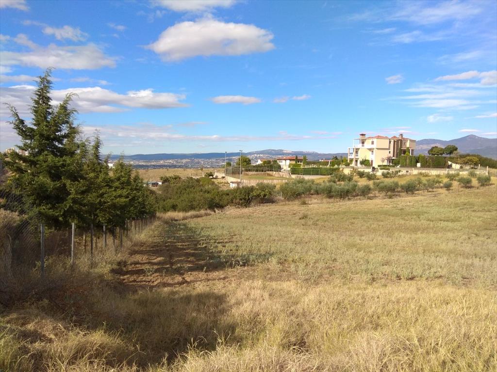 Продажа - Земельный участок 5600 m² в пригороде Салоник