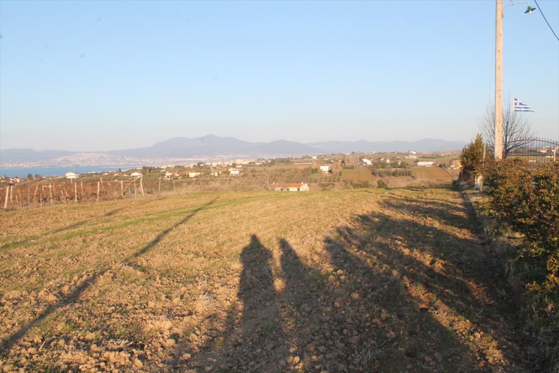 Продажа - Земельный участок 14400 m² в пригороде Салоник