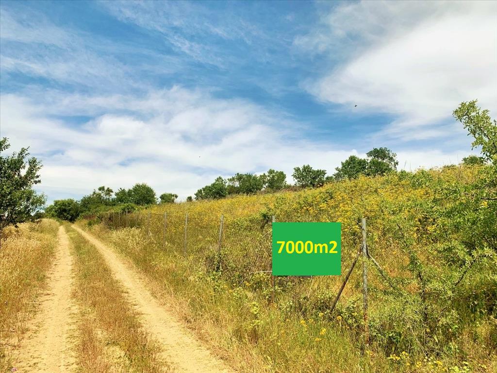 Продажа - Земельный участок 7000 m² в пригороде Салоник
