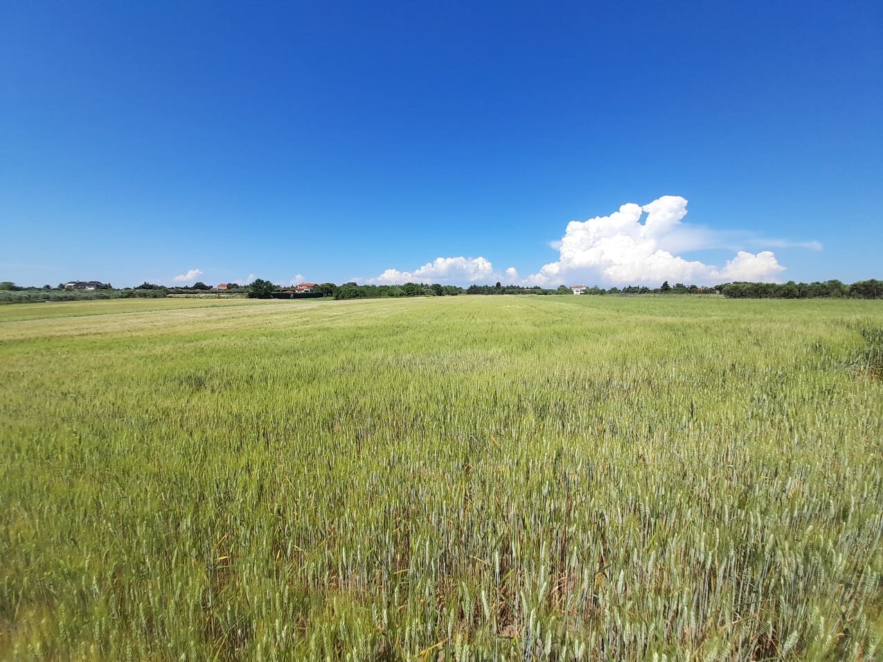Продажа - Земельный участок 4200 m² в пригороде Салоник