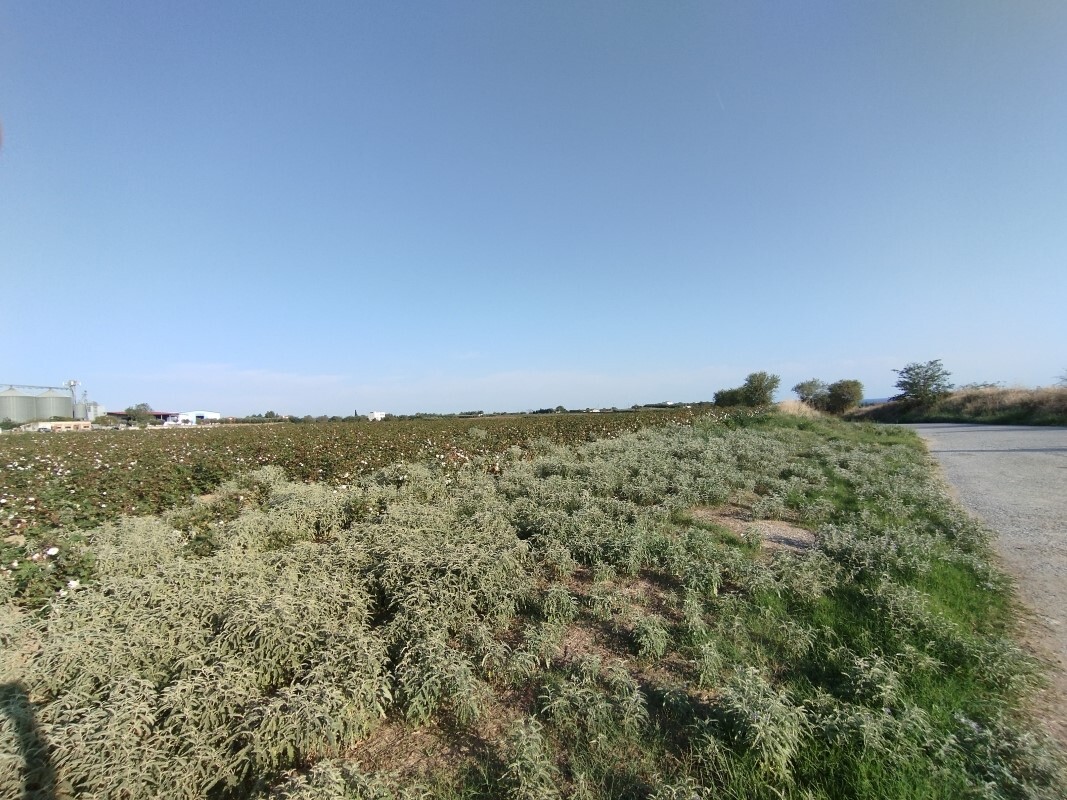 Продажа - Земельный участок 101000 m² в пригороде Салоник