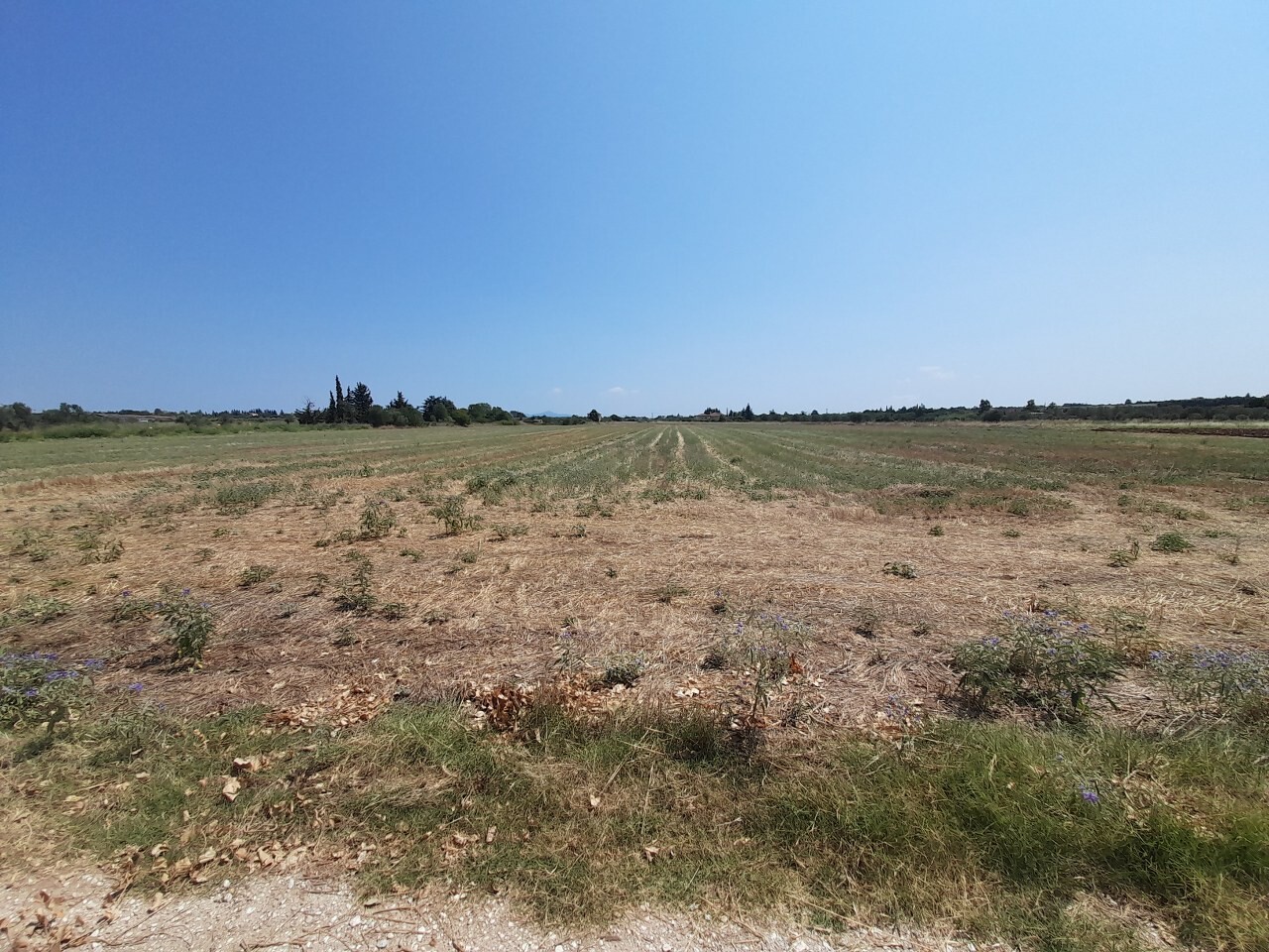 Продажа - Земельный участок 11100 m² в пригороде Салоник